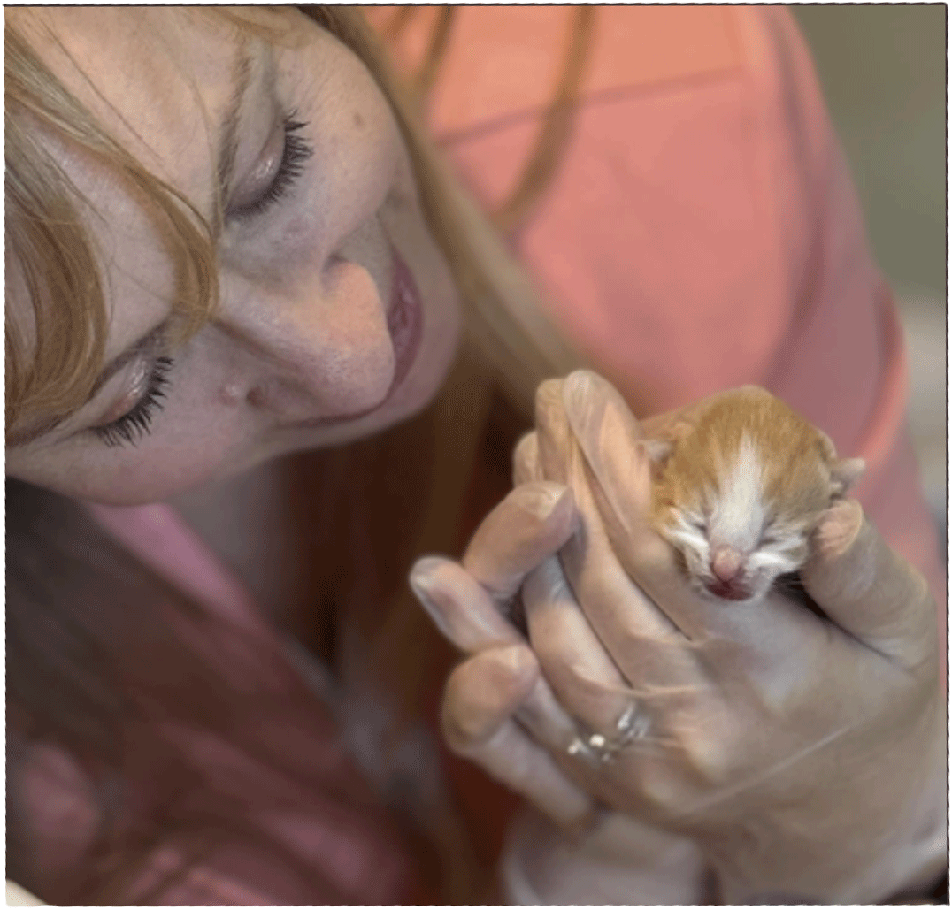 Jennifer Homan, Executive Director of Meals on Wheels of Suffolk and Isle of Wight Jennifer Homan, Executive Director of Meals on Wheels of Suffolk and Isle of Wight